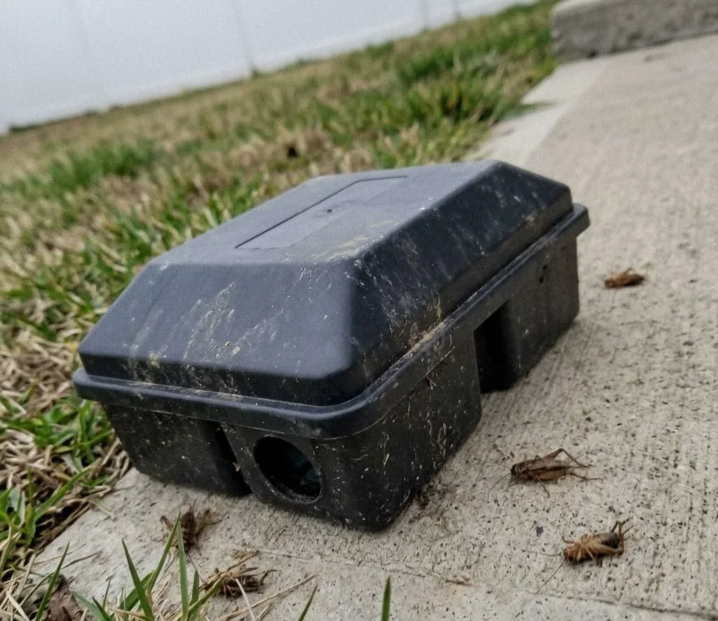 Termite Bait System Installation service in Avondale, AZ